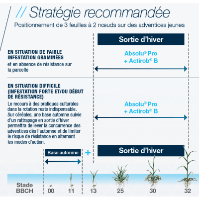 ABSOLU PRO - Image 2