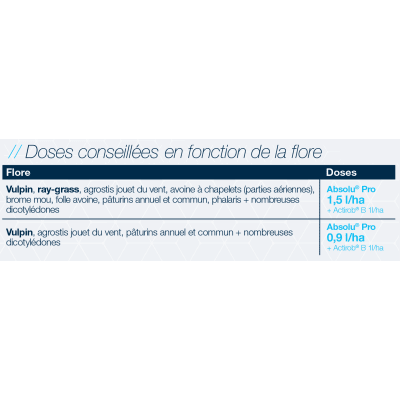 ABSOLU PRO - Image 5