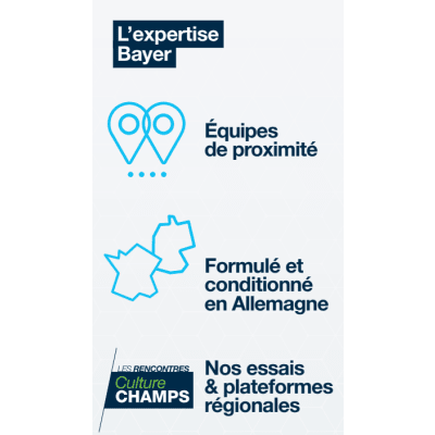ARCHIPEL DUO - Image 5