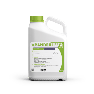 BANDRILLE - Image 1