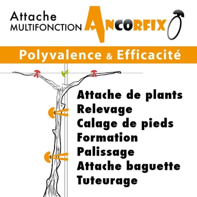 Ancorfix - Image 3