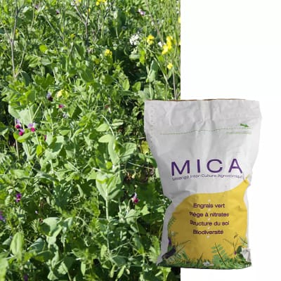 MICAVIT - Image 1