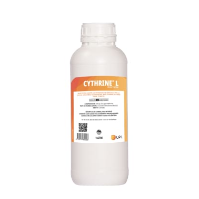 CYTHRINE L - Image 2