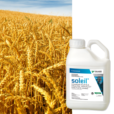 SOLEIL - Image 1