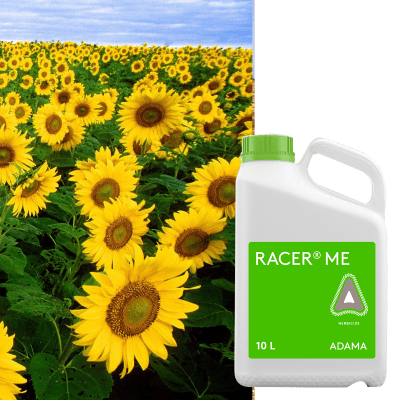 RACER ME - Image 1