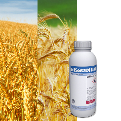 NISSODIUM - Image 1