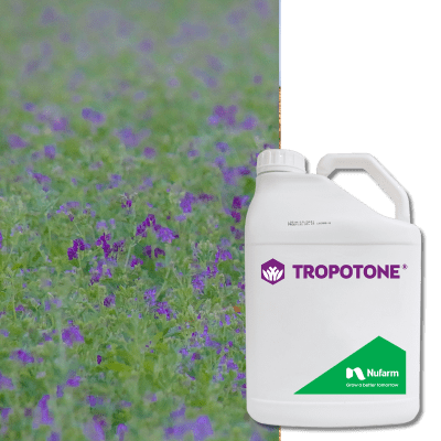 TROPOTONE - Image 1