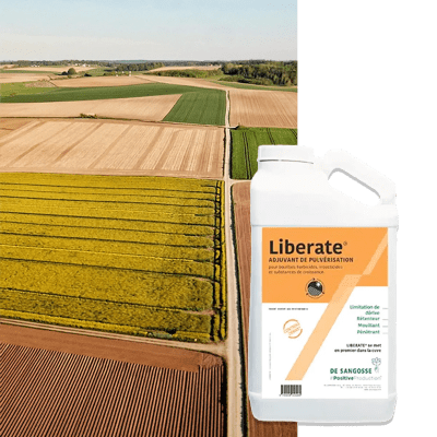 LIBERATE - Image 1