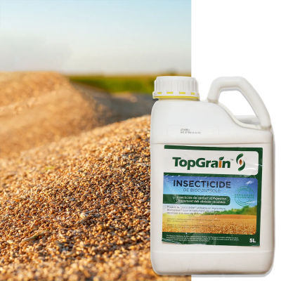 TOPGRAIN - Image 1