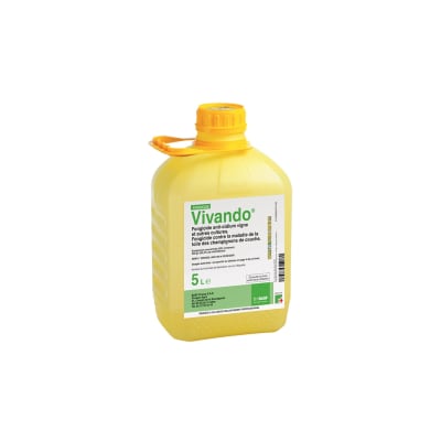 VIVANDO - Image 1