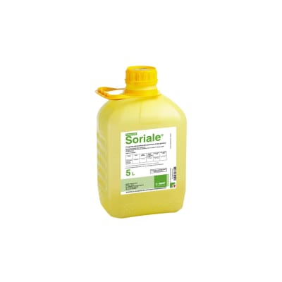 SORIALE - Image 1