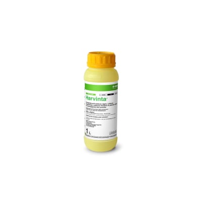 HARVINTA - Image 1