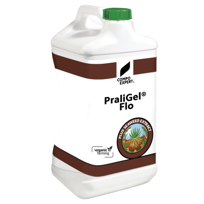 PraliGel® Flo - Image 1