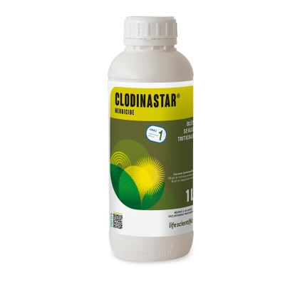 CLODINASTAR - Image 3