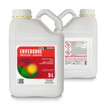 ENVERGURE - Image 1