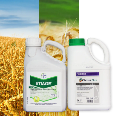 ELATUS PLUS + ETIAGE - Image 1