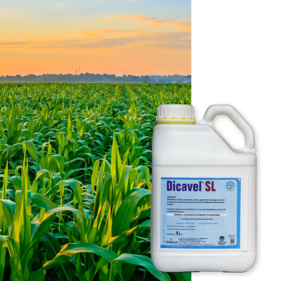 DICAVEL SL - Image 1