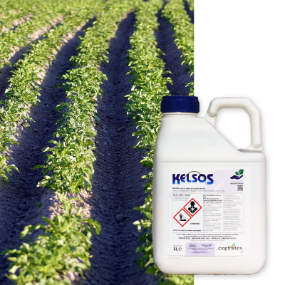KELSOS - Image 1