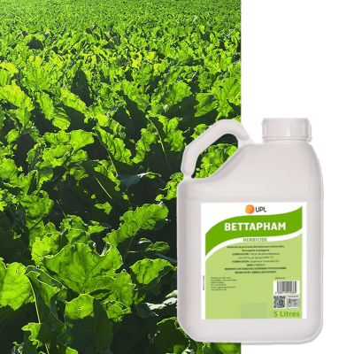 BETTAPHAM - Image 1