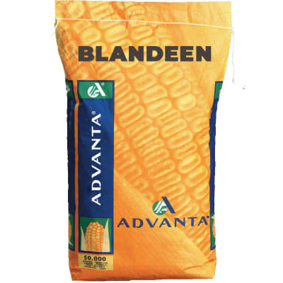 BLANDEEN - Image 1