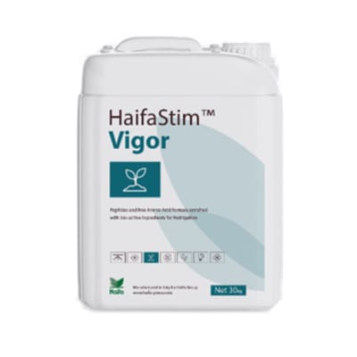 HaifaStim™ Vigor - Image 1
