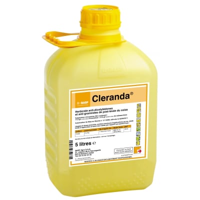 PK CLERANDA + DASH HC - Image 1