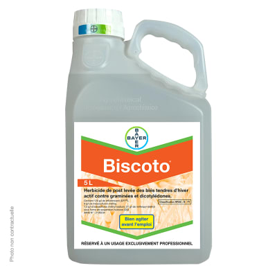 BISCOTO - Image 1