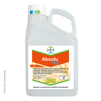 ABSOLU PRO - Image 1