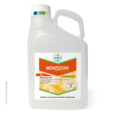 MONSOON ACTIVE - Image 1