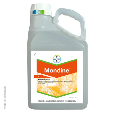 MONDINE - Image 1