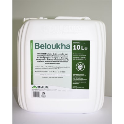 BELOUKHA - Image 1
