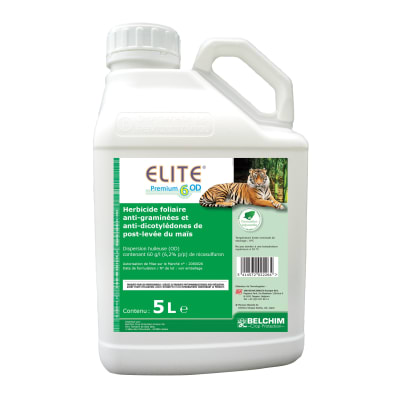ELITE PREMIUM 6 OD - Image 1