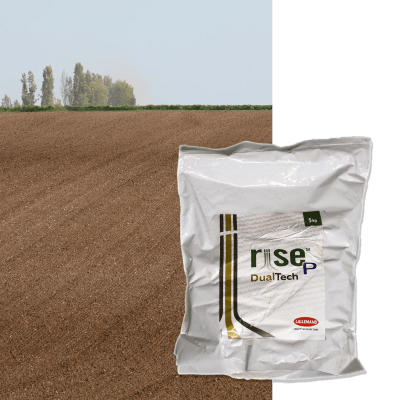 RISE P DUAL TECH - Image 1