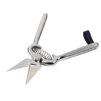 CISAILLE ONGLONS MOUTON ACIER LAMES COURTES NON CRANTEES - Image 1