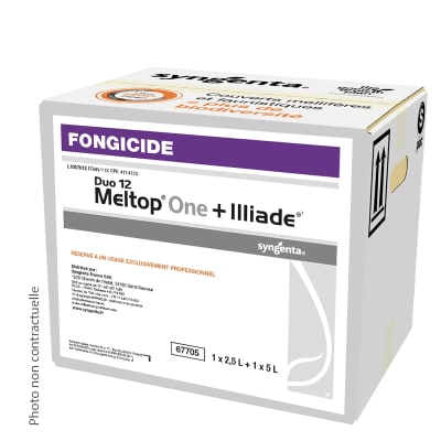 DUO 12 MELTOP ONE ILLIADE - Image 1