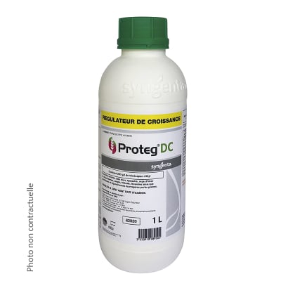 PROTEG DC - Image 2