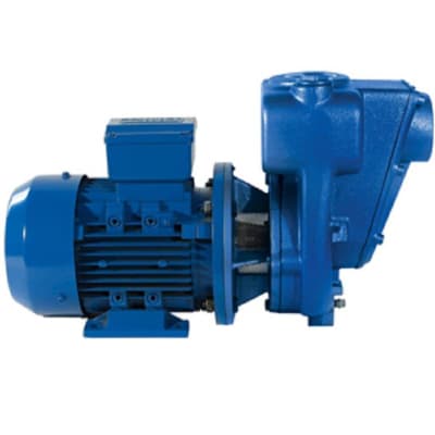 ELECTROPOMPE MONOBLOC AA 3 EL - Image 1