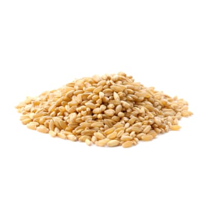 ADESSO BIO - Image 1