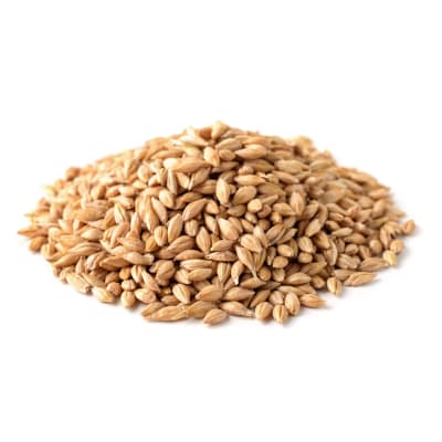 RGT PLANET BIO - Image 1