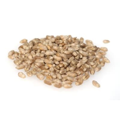 RAMDAM BIO - Image 1