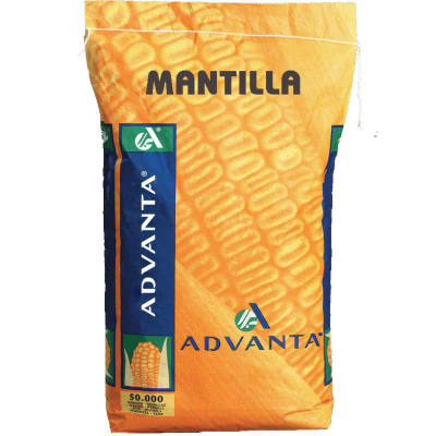 MANTILLA - Image 1