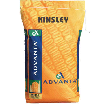 KINSLEY BIO - Image 1