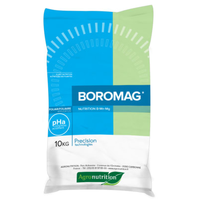 BOROMAG - Image 1