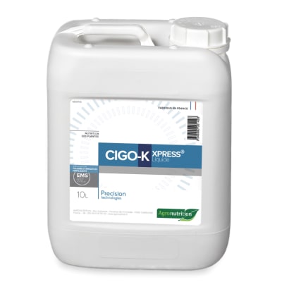 CIGO K XPRESS LIQ - Image 1