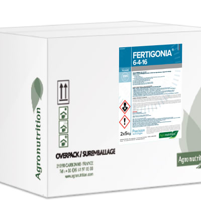 FERTIGONIA P6.4.16 - Image 1