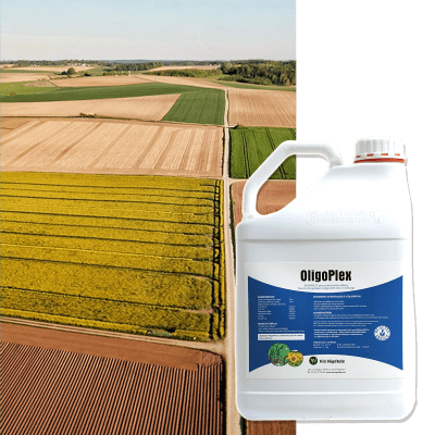 OLIGOPLEX - Image 1