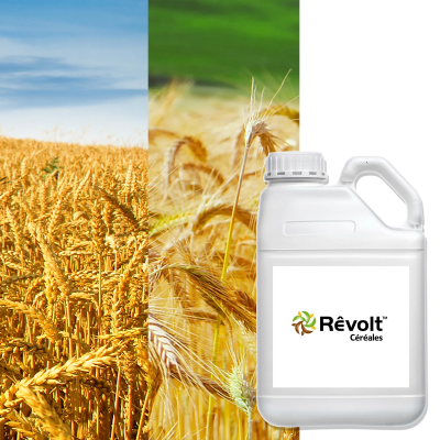 REVOLT céréales - Image 1