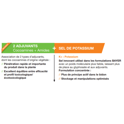 ROUNDUP DYNAMIC - Image 3
