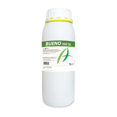 BUENO 480 SL - Image 1