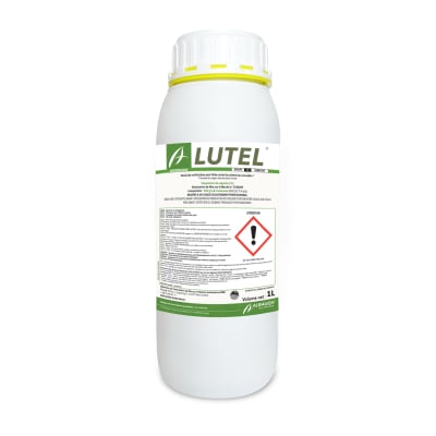 LUTEL - Image 1